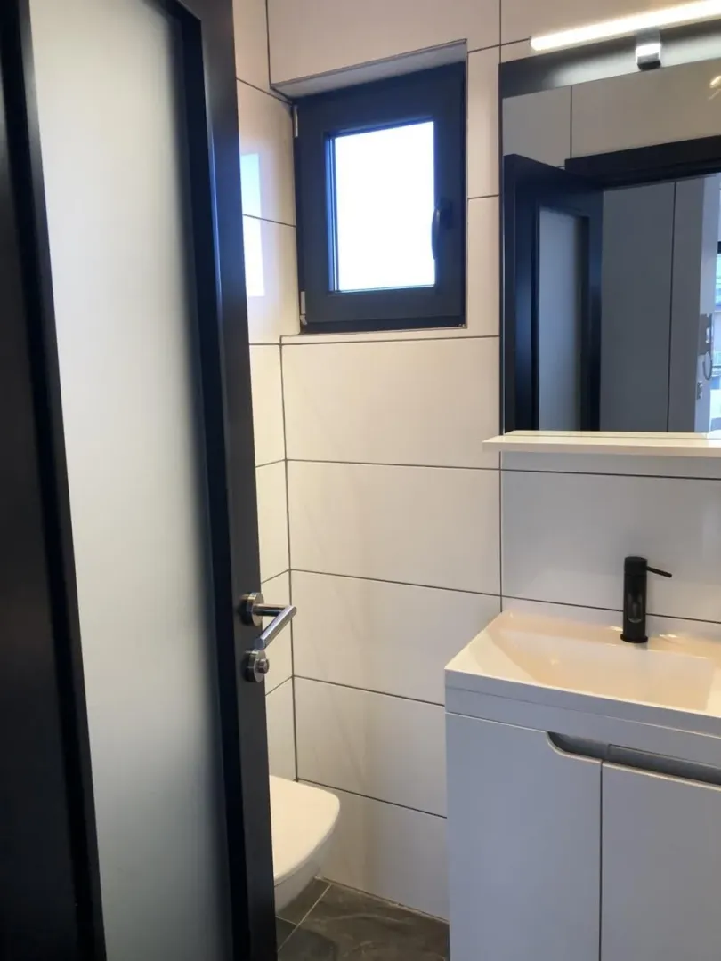 View of the bathroom with a washbasin, mirror, and toilet.