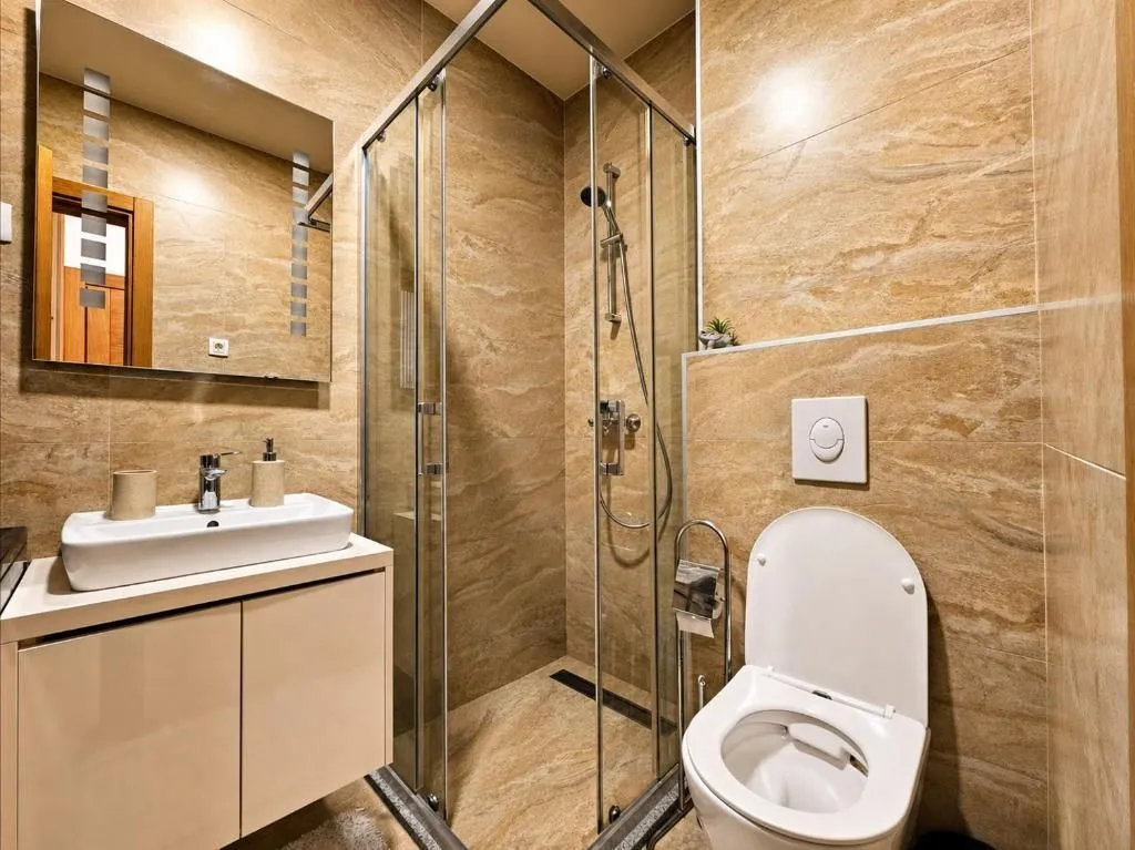 Bathroom equipped with a walk-in shower, washbasin, and toilet.