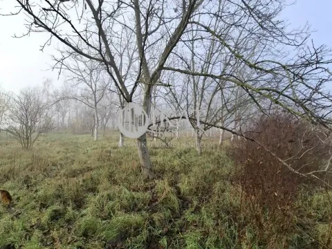 Prodaja, zemljište, 0m2, Novi Bečej, Zrenjanin Prodaja, zemljište, 0m2, Novi Bečej, Zrenjanin