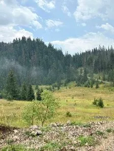 Sale, land lot, 170000m², Žabljak II, Žabljak