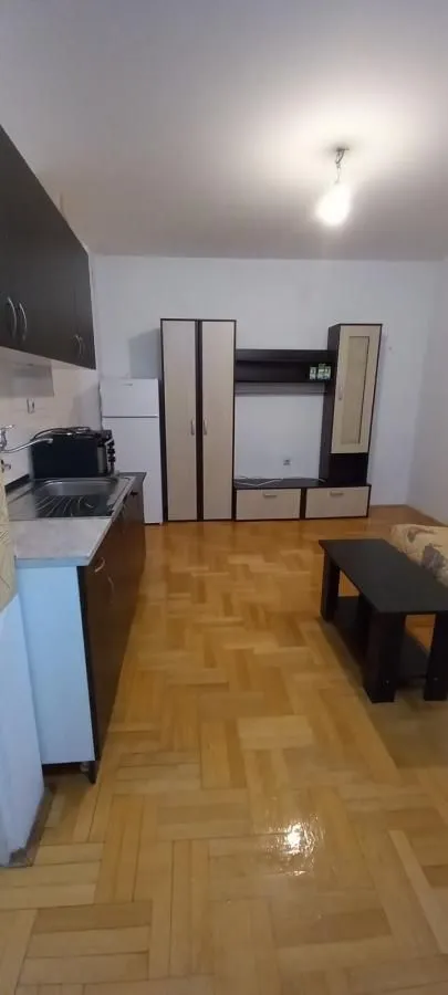 Izdavanje, jednosoban stan, 40m², Centar, Niš