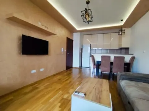 Izdavanje, jednosoban stan, 45m², Tuški Put, Podgorica - image 3