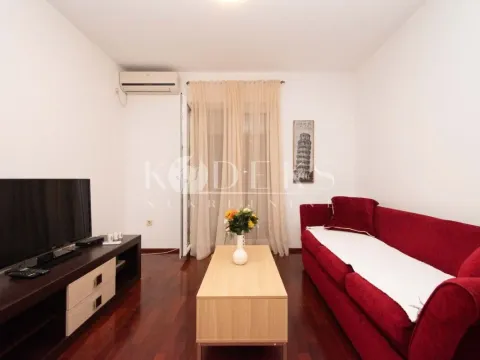 Izdavanje, jednosoban stan, 40m², Stari Aerodrom, Podgorica - image 7