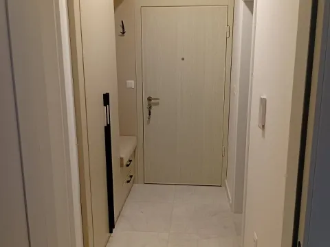 Prodaja, jednosoban stan, 45m², Zabjelo, Podgorica - image 17