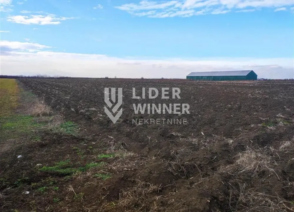 Prodaja, plac, Zemun Ugrinovci, Zemun Sve Podlokacije