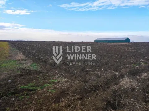 Sale, land lot, Zemun Ugrinovci, Zemun Sve Podlokacije