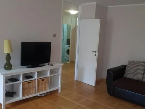 Izdavanje, dvosoban stan, 54m², Liman 4, Novi Sad Sve Podlokacije - image 2