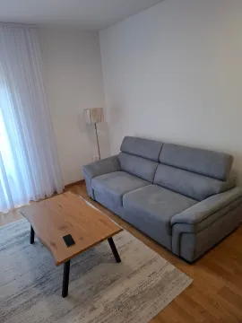 Rent, one bedroom apartment, 44m², Pobrežje, Podgorica - image 4