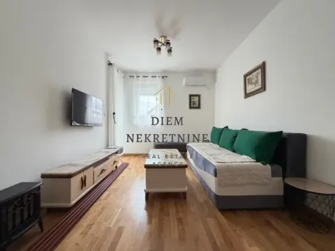 Rent, one bedroom apartment, 45m², Zagorič, Podgorica - image 2