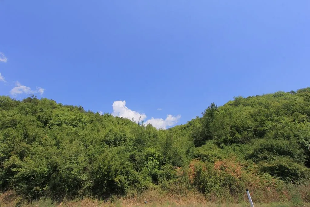 Prodaja, plac, 19166m², Kotor, Crna Gora