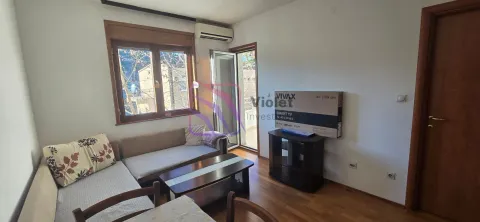 Dnevni boravak sa garniturom, TV-om i izlazom na terasu. - image 11