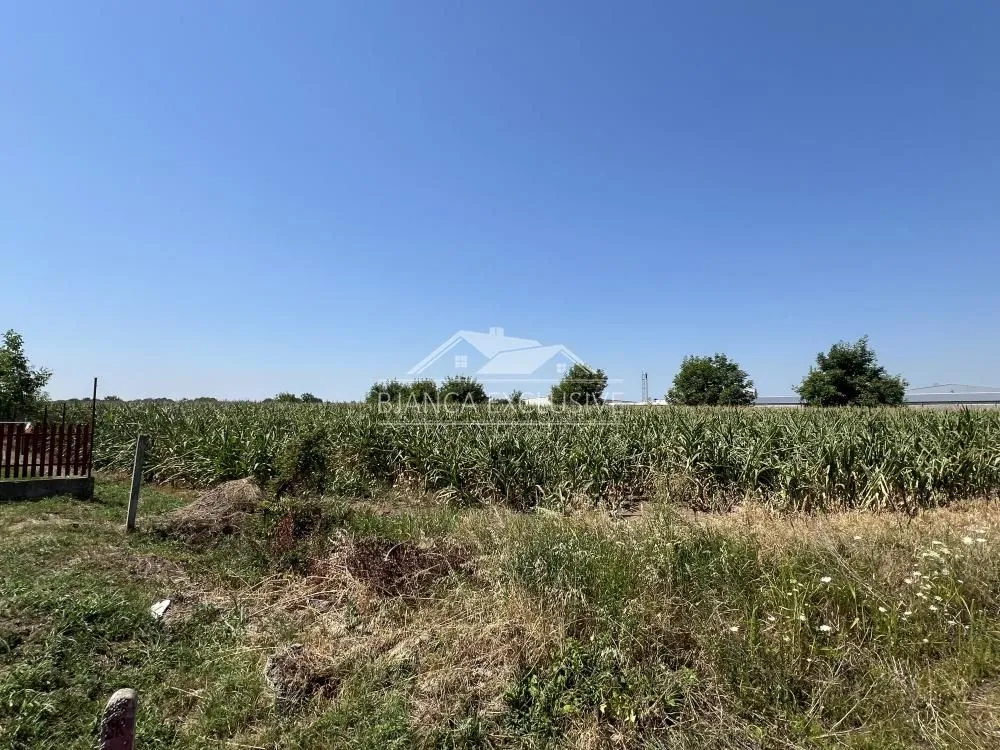 Prodaja, plac, 12000m², Dobanovci, Surčin