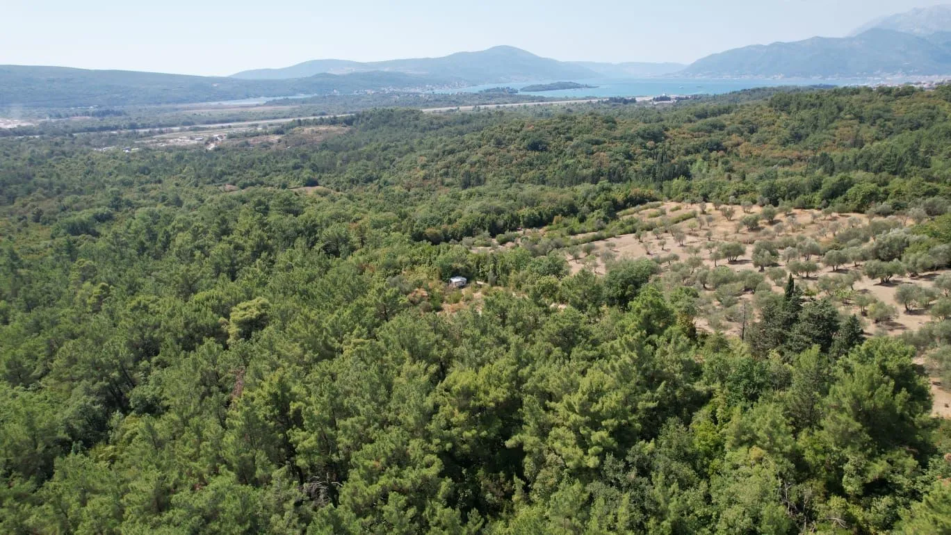 Prodaja, plac, 7700m², Kavač, Kotor
