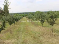 Sale, house, 35m², Krčedin, Inđija - image 4