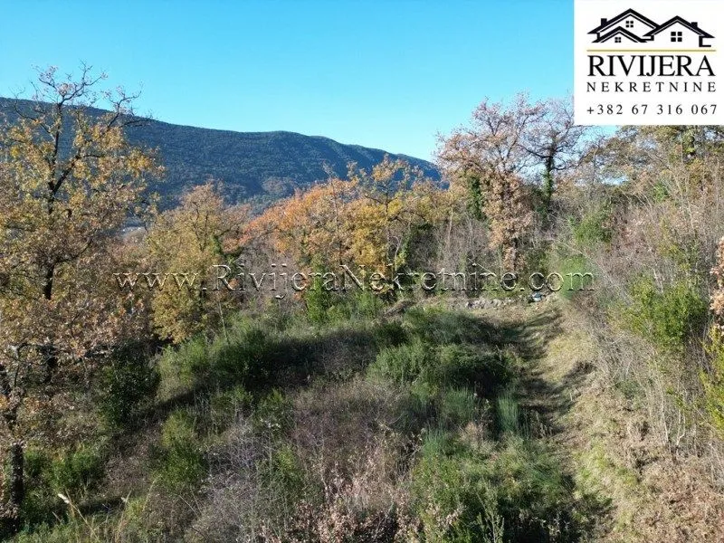 Prodaja, plac, 988m², Ratiševina, Herceg Novi
