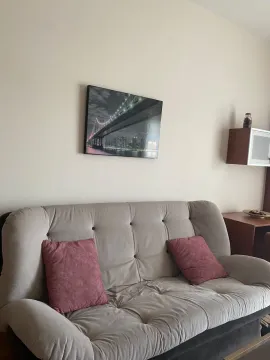 Udoban sivi kauč sa crvenim ukrasnim jastucima u dnevnoj sobi. - image 6