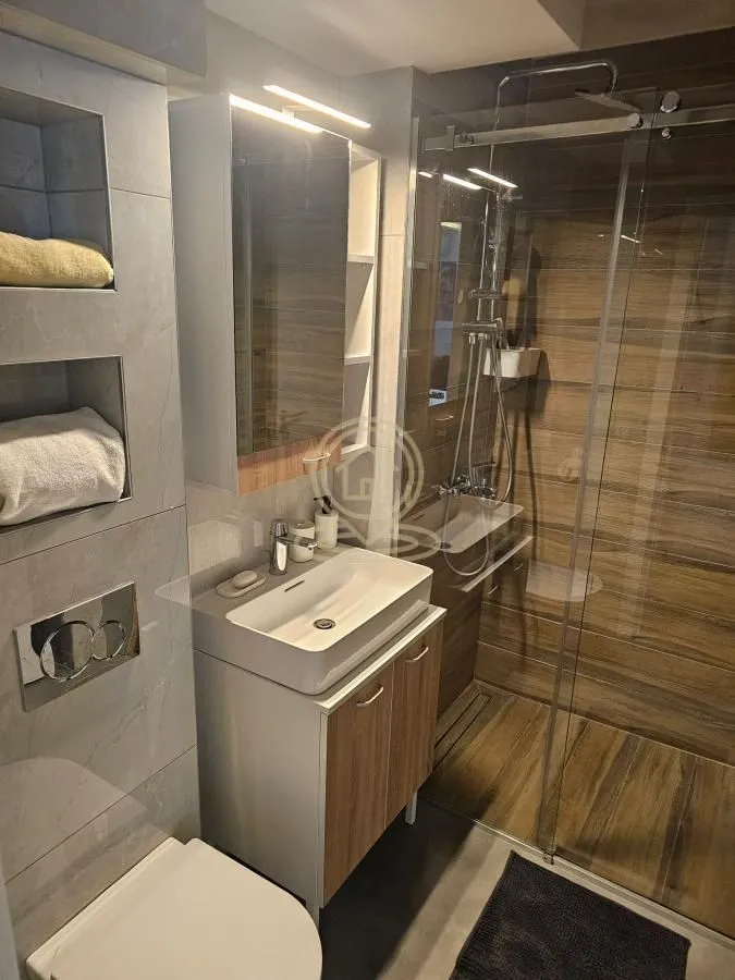 Rent, two bedroom apartment, 50m², Novi Beograd Blok 38, Novi Beograd Sve Podlokacije