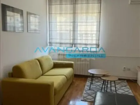 Izdavanje, stan, 45m², Južni Bulevar, Vračar Sve Podlokacije - image 10