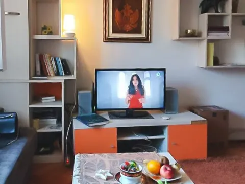 Izdavanje, jednosoban stan, 45m², Preko Morače, Podgorica - image 5