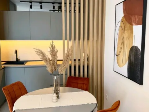 Rent, one bedroom apartment, 41m², Zabjelo, Podgorica - image 5