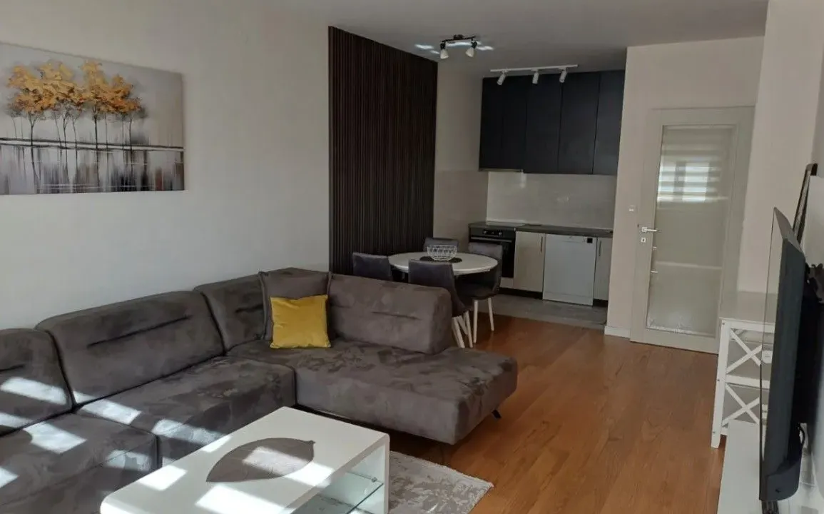 Izdavanje, jednosoban stan, 47m², Central Point, Podgorica