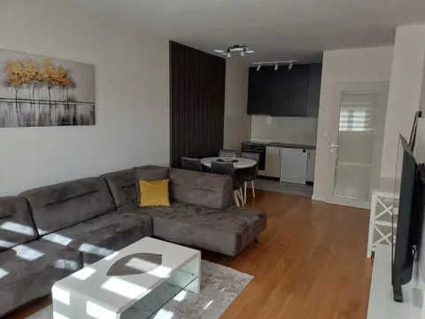 Izdavanje, jednosoban stan, 47m², Central Point, Podgorica