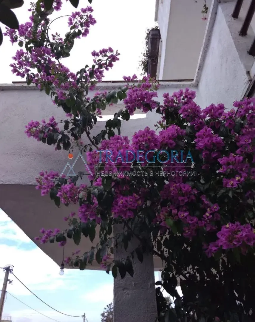 Prodaja, kuća, 199m², Utjeha, Bar