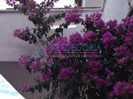 Prodaja, kuća, 199m², Utjeha, Bar - image 5