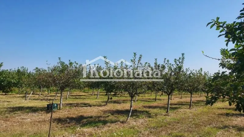 Sale, land lot, 13400m², Djurinci, Sopot