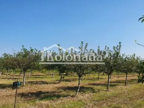 Sale, land lot, 13400m², Djurinci, Sopot - image 8