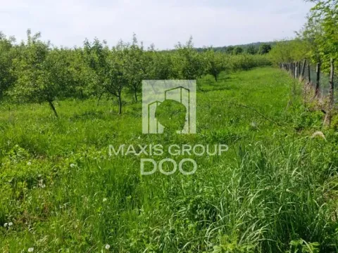 Prodaja, plac, 64800m², Kosmaj, Sopot - image 17