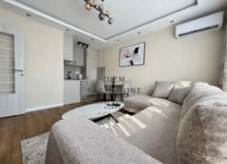 Izdavanje, jednosoban stan, 35m², Preko Morače, Podgorica - image 2