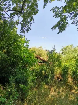 Pogled na dvorište i okolno rastinje sa drvećem. - image 5