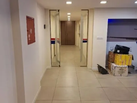 Izdavanje, poslovni prostor, 653m², Stari Merkator, Novi Beograd Sve Podlokacije - image 9