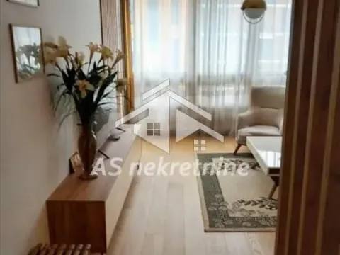 Rent, two bedroom apartment, 55m², Novi Beograd Blok 65, Novi Beograd Sve Podlokacije - image 9