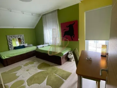 Izdavanje, kuća, 400m², Veternička rampa, Novi Sad Sve Podlokacije - image 8