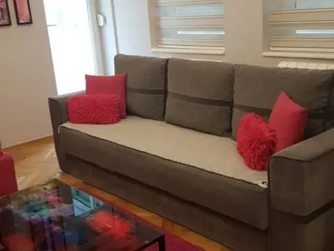 Izdavanje, dvosoban stan, 55m², Betanija, Novi Sad Sve Podlokacije - image 2
