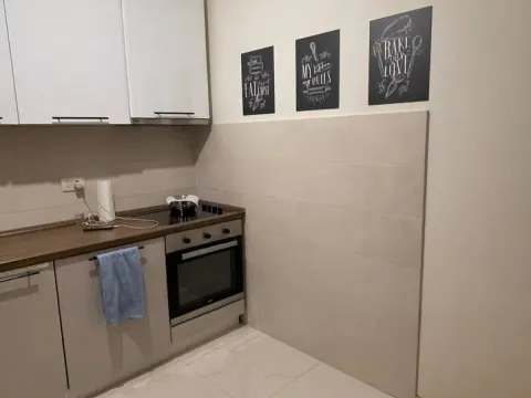 Rent, one bedroom apartment, 49m², Zagorič, Podgorica - image 4