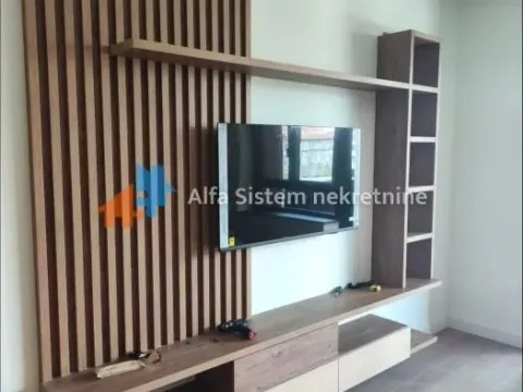 Izdavanje, dvosoban stan, 55m², Savski Venac, Beograd - image 5