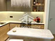 Izdavanje, dvosoban stan, 55m², Savski Venac, Beograd - image 7