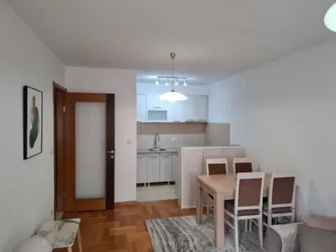 Izdavanje, jednosoban stan, 45m², Stari Aerodrom, Podgorica - image 7