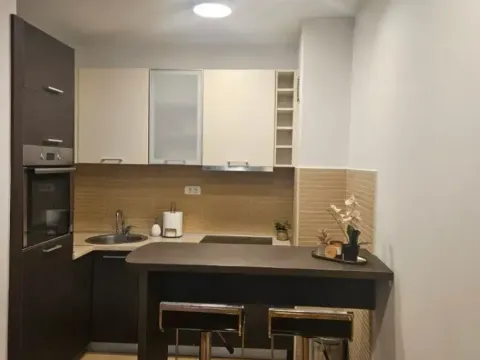 Izdavanje, jednosoban stan, 43m², Tološka šuma, Podgorica - image 2