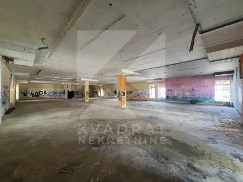 Izdavanje,  poslovni prostor, 1000m2, Blok 5, Podgorica