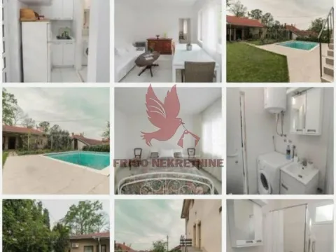 Prodaja, kuća, 1000m², Selters Banja, Mladenovac - image 18