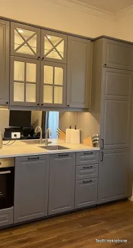 Modern kitchen with grey cabinets and a built-in sink. - image 4