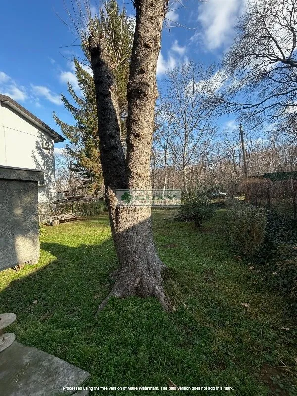 Sale, house, 290m², Savski Venac, Beograd