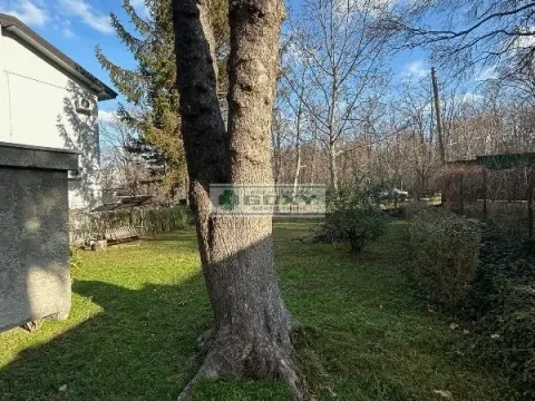 Prodaja, kuća, 290m², Savski Venac, Beograd - image 5