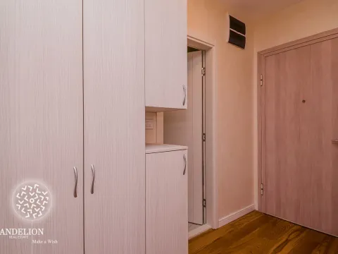 Izdavanje, jednosoban stan, 50m², Central Point, Podgorica - image 4