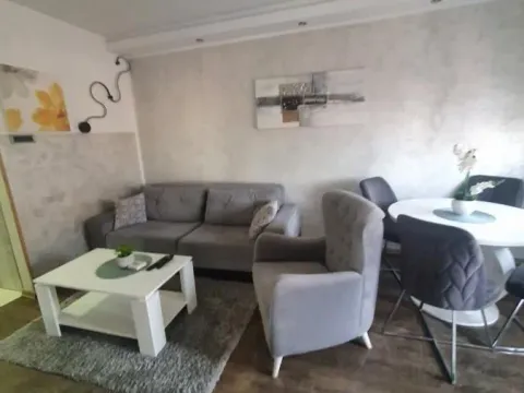 Izdavanje, dvosoban stan, 43m², Bulevar Evrope, Novi Sad Sve Podlokacije - image 4