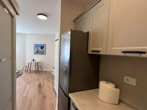 Prodaja, garsonjera, 34m², Central Point, Podgorica - image 4